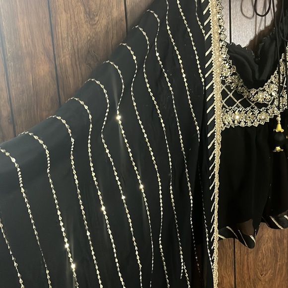 Beautiful lehnga indo/pak wear festive and occasion wear - Picture 6 of 7